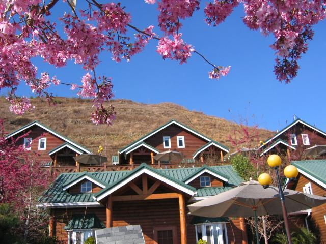 清境豐田桂林山莊民宿 Ренай Экстерьер фото